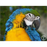 Queen Maya XXL Guacamaya 1