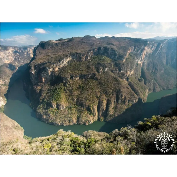 sumidero 7