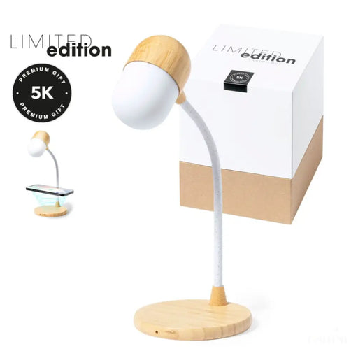 Lampe Multifonction Lars-1