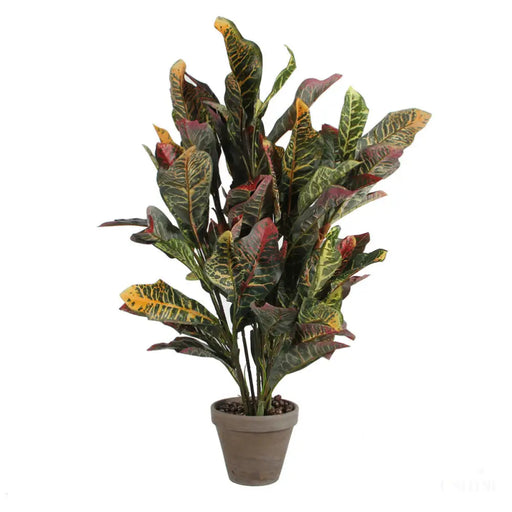 Plante décorative Mica Decorations Croton Vert PVC (73 x 40 cm)-0