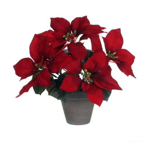 Plante décorative Mica Decorations Rouge PVC-0