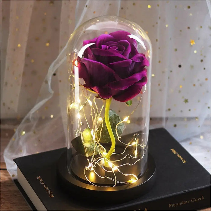 Rose Immortelle: Couvercle en Verre Lumineux LED