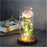 Rose Immortelle: Couvercle en Verre Lumineux LED - K