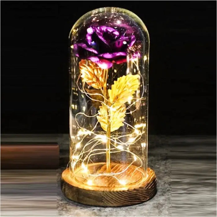 Rose Immortelle: Couvercle en Verre Lumineux LED - Q